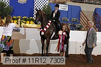 11r12_7309 proof