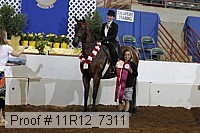 11r12_7311 proof