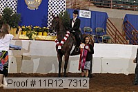11r12_7312 proof