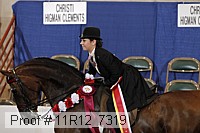 11r12_7319 proof