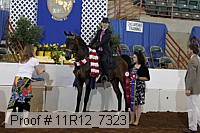 11r12_7323 proof