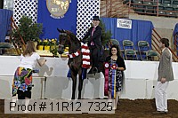 11r12_7325 proof