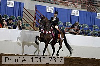 11r12_7327 proof