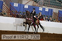 11r12_7328 proof