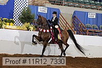 11r12_7330 proof