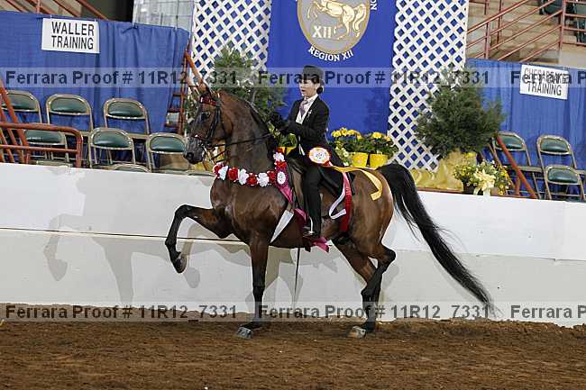 Proof 11r12_7331