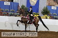 11r12_7331 proof