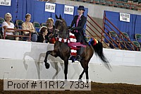 11r12_7334 proof