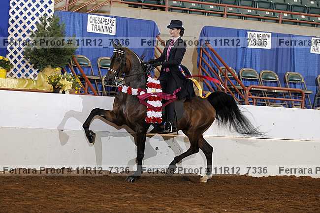 Proof 11r12_7336