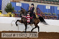 11r12_7336 proof