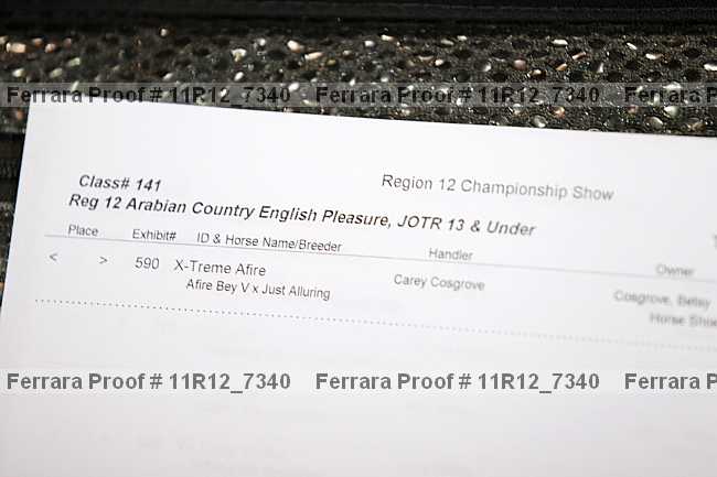Proof 11r12_7340