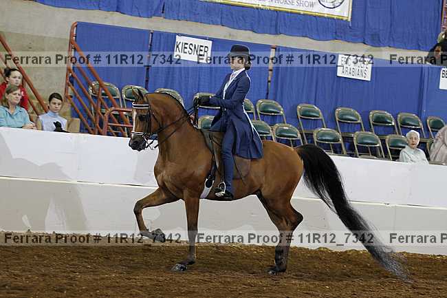 Proof 11r12_7342