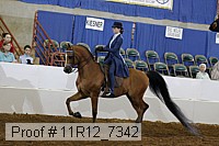 11r12_7342 proof