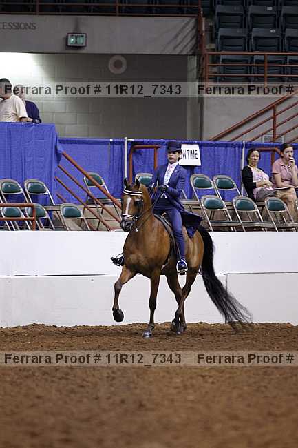 Proof 11r12_7343