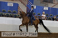 11r12_7344 proof