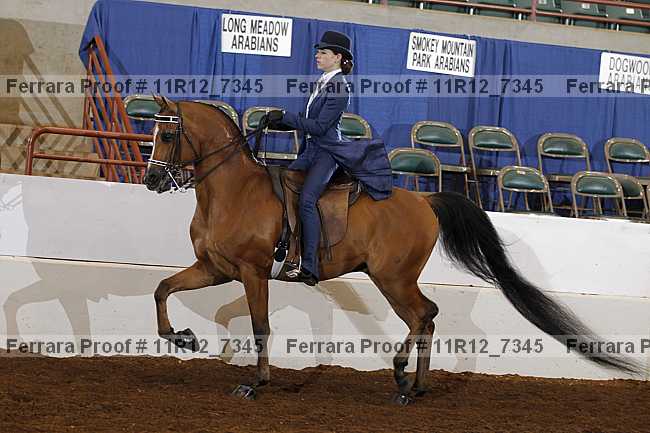 Proof 11r12_7345
