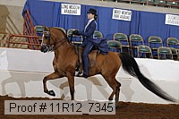 11r12_7345 proof