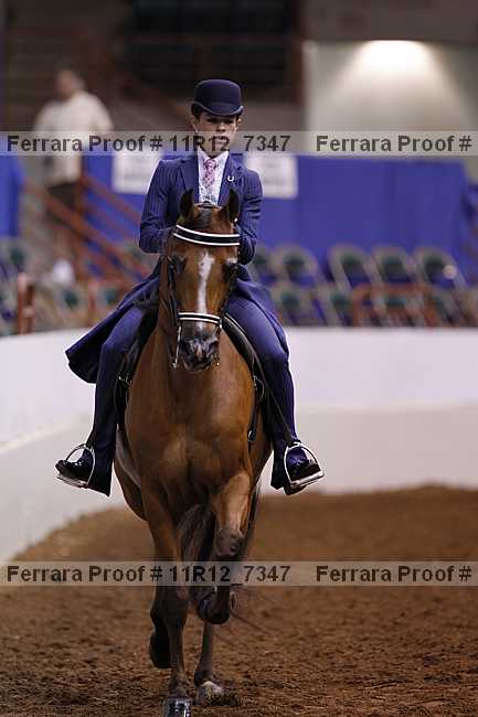 Proof 11r12_7347