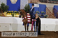 11r12_7351 proof
