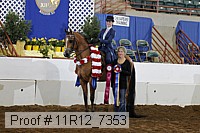11r12_7353 proof