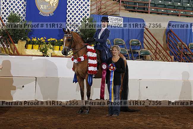 Proof 11r12_7356