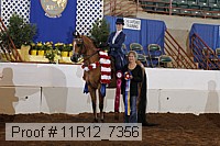 11r12_7356 proof