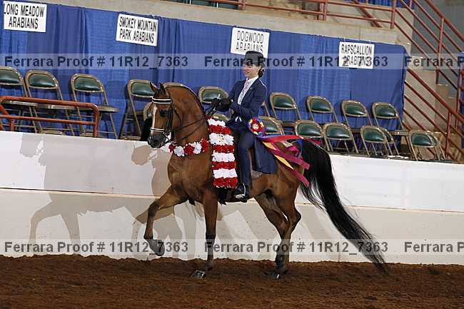 Proof 11r12_7363