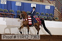 11r12_7363 proof