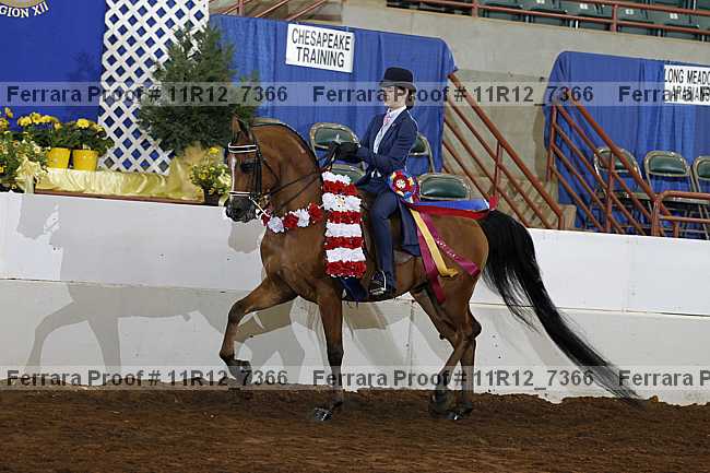 Proof 11r12_7366