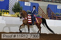11r12_7366 proof