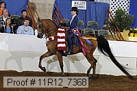 11r12_7368 proof