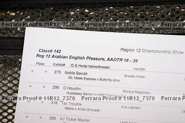 Proof 11r12_7370