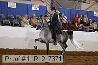11r12_7371 proof