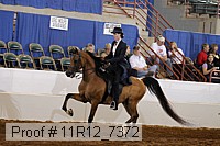 11r12_7372 proof
