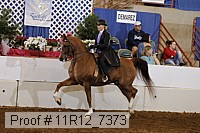 11r12_7373 proof