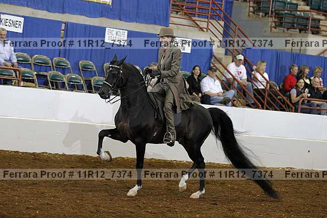 Proof 11r12_7374
