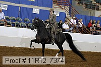 11r12_7374 proof