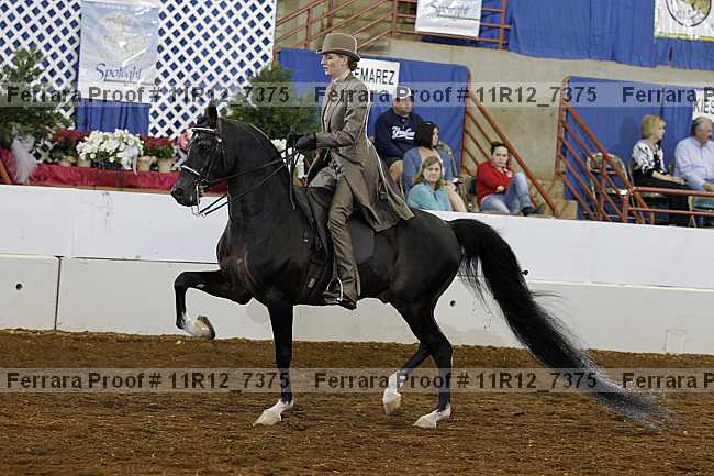 Proof 11r12_7375