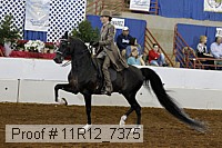 11r12_7375 proof