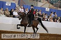 11r12_7377 proof