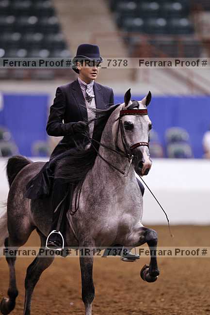 Proof 11r12_7378