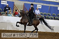 11r12_7379 proof