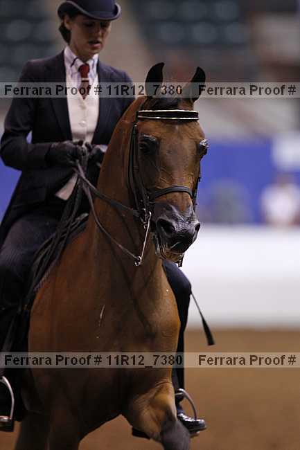 Proof 11r12_7380