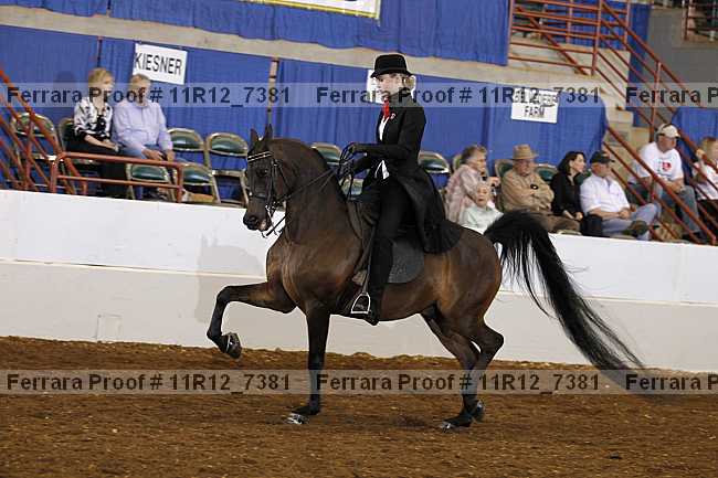 Proof 11r12_7381