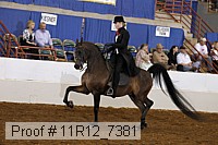 11r12_7381 proof