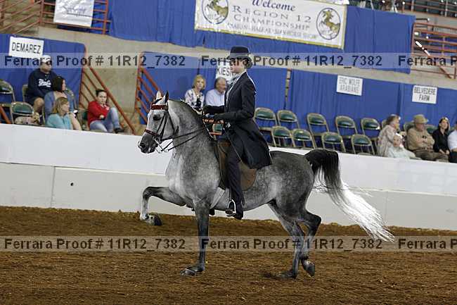 Proof 11r12_7382