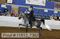 11r12_7382 proof