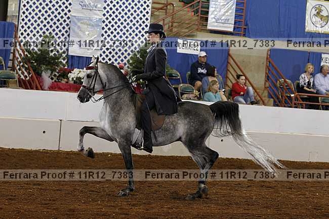 Proof 11r12_7383