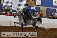 11r12_7383 proof