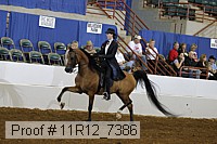 11r12_7386 proof